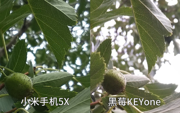 小米5X拍照偏绿