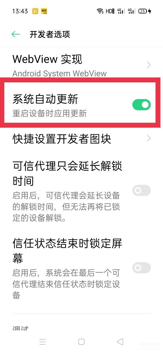 realme v11开发者选项在哪里